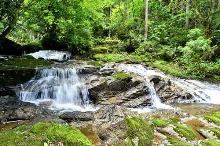 �b��s�E�₵����̑�